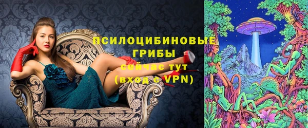 эйфоретик Гусев