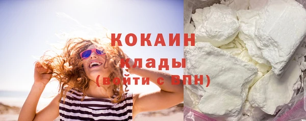 ECSTASY Горняк