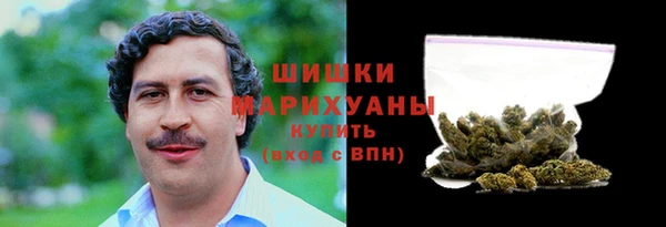 эйфоретик Гусев