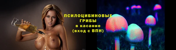 эйфоретик Гусев