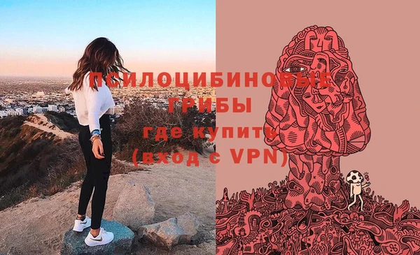 круглые Гусиноозёрск