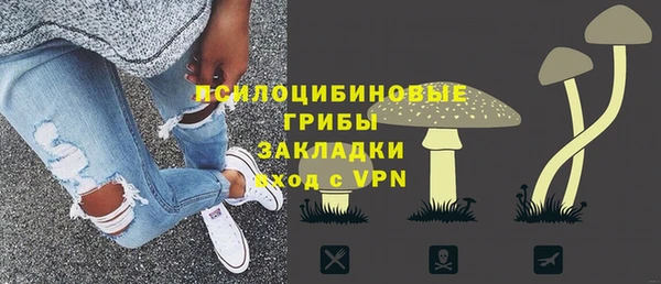 2c-b Дмитриев