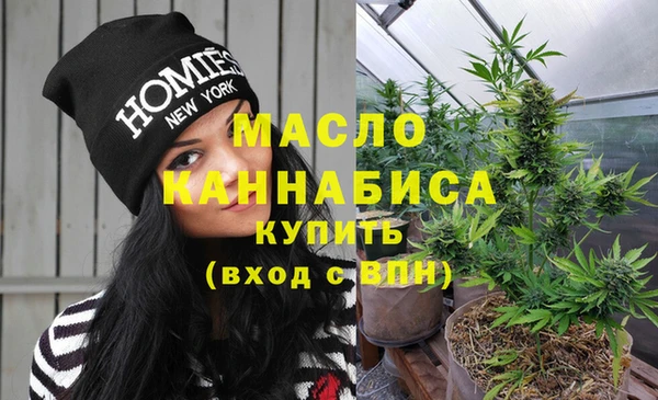ECSTASY Горняк