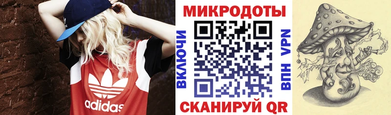 Купить где  Верея  Псилоцибиновые грибы Magic Shrooms 